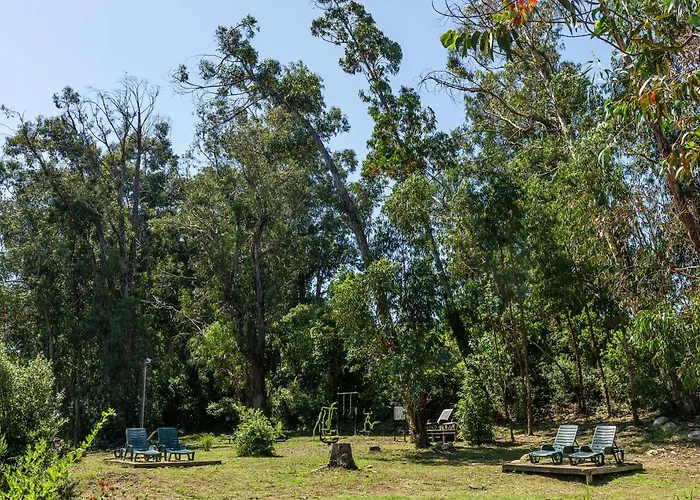 Sole Di Kamp alanı Sari-Solenzara