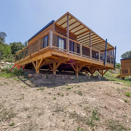 Sole Di סארי סולנזארה