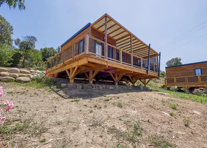 Sole Di סארי סולנזארה