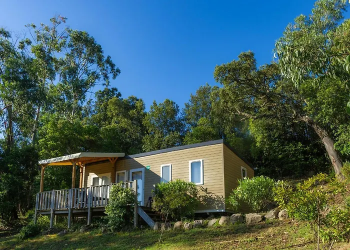 Sole Di סארי סולנזארה